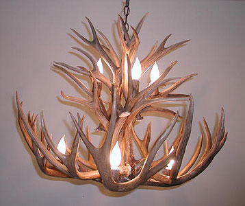 Mule Deer Chandelier